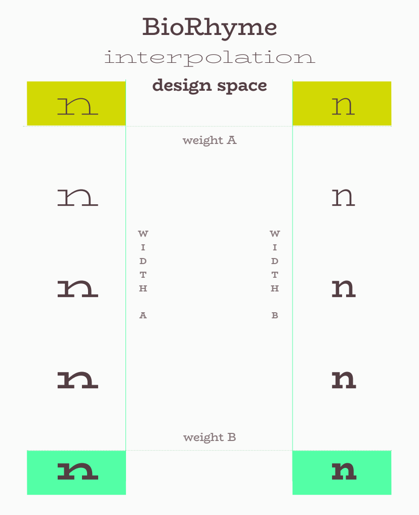 Interpolation Schema